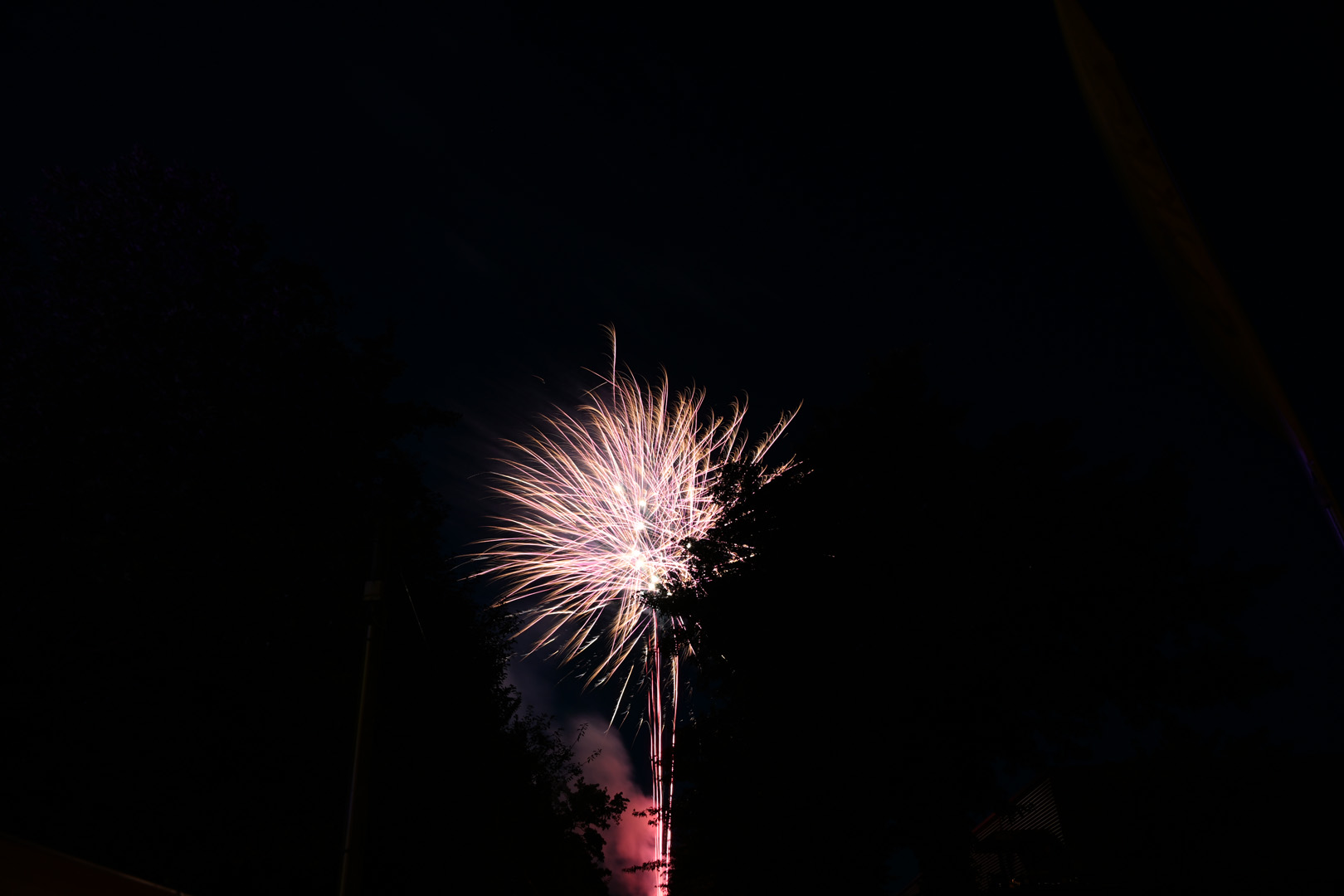 DSC_0910.jpg