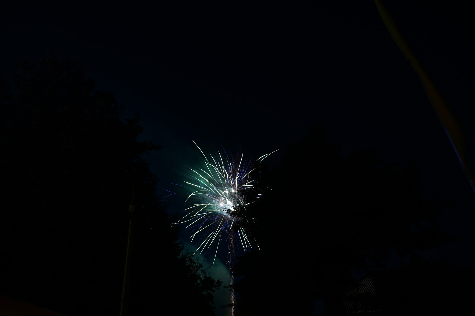 DSC_0913.jpg