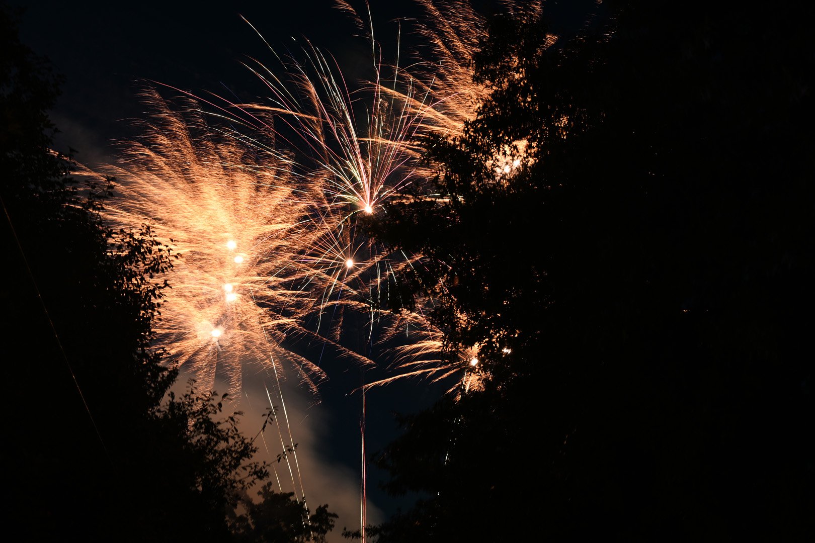 DSC_0925.jpg