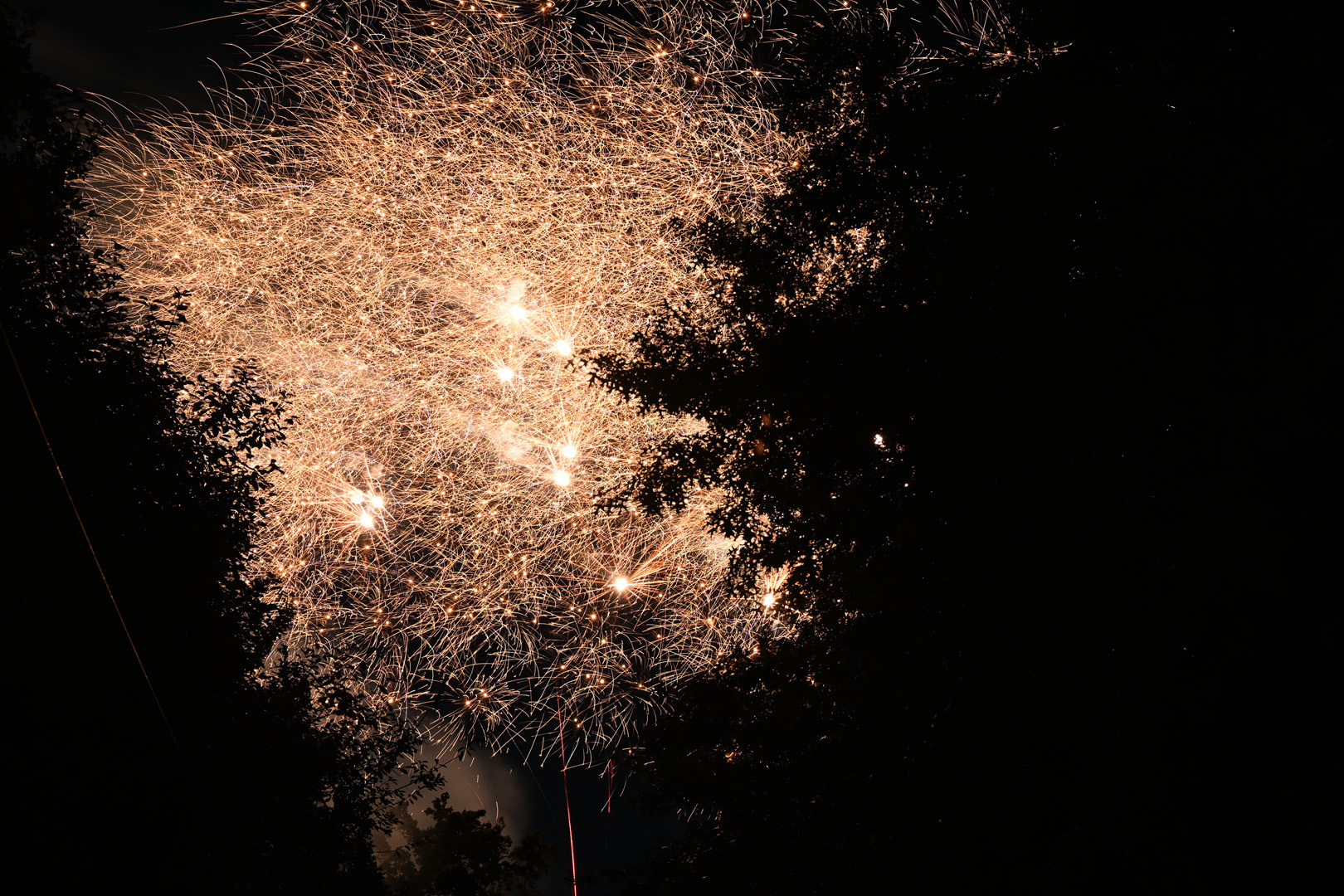 DSC_0927.jpg