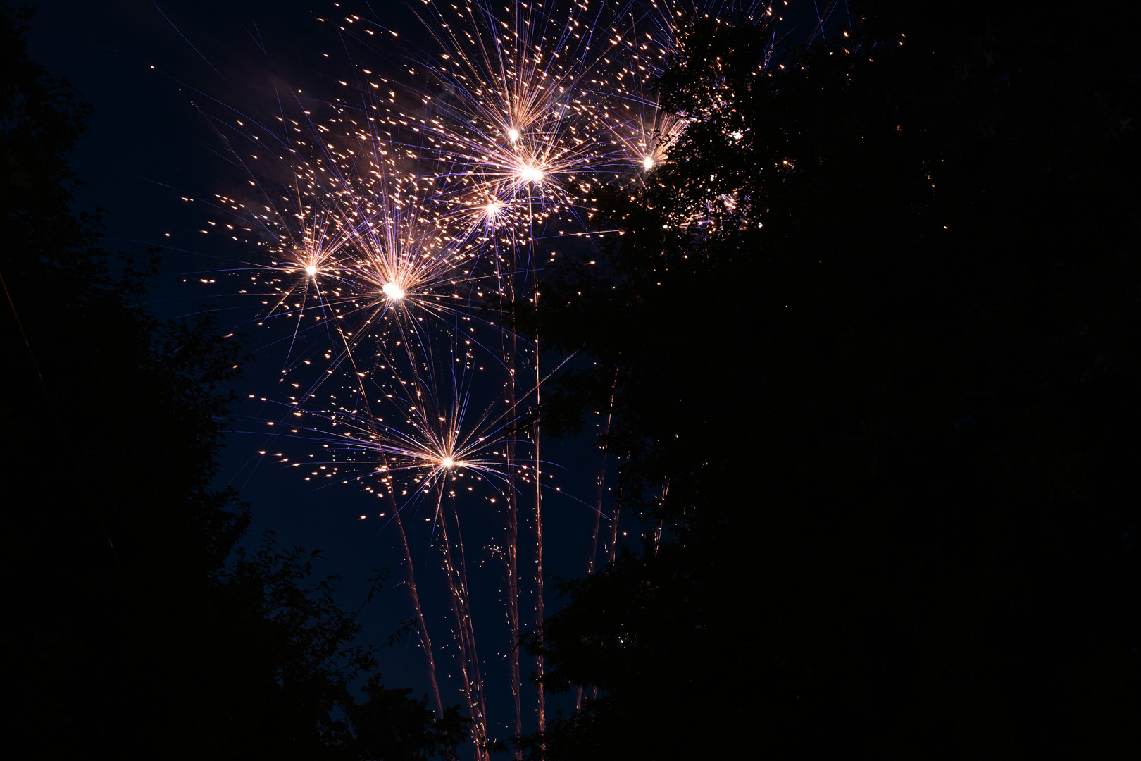 DSC_0934.jpg