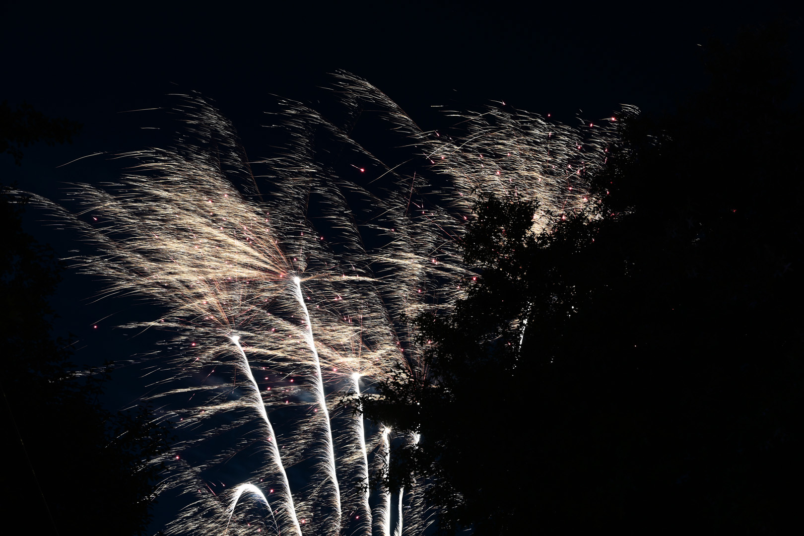 DSC_0941.jpg