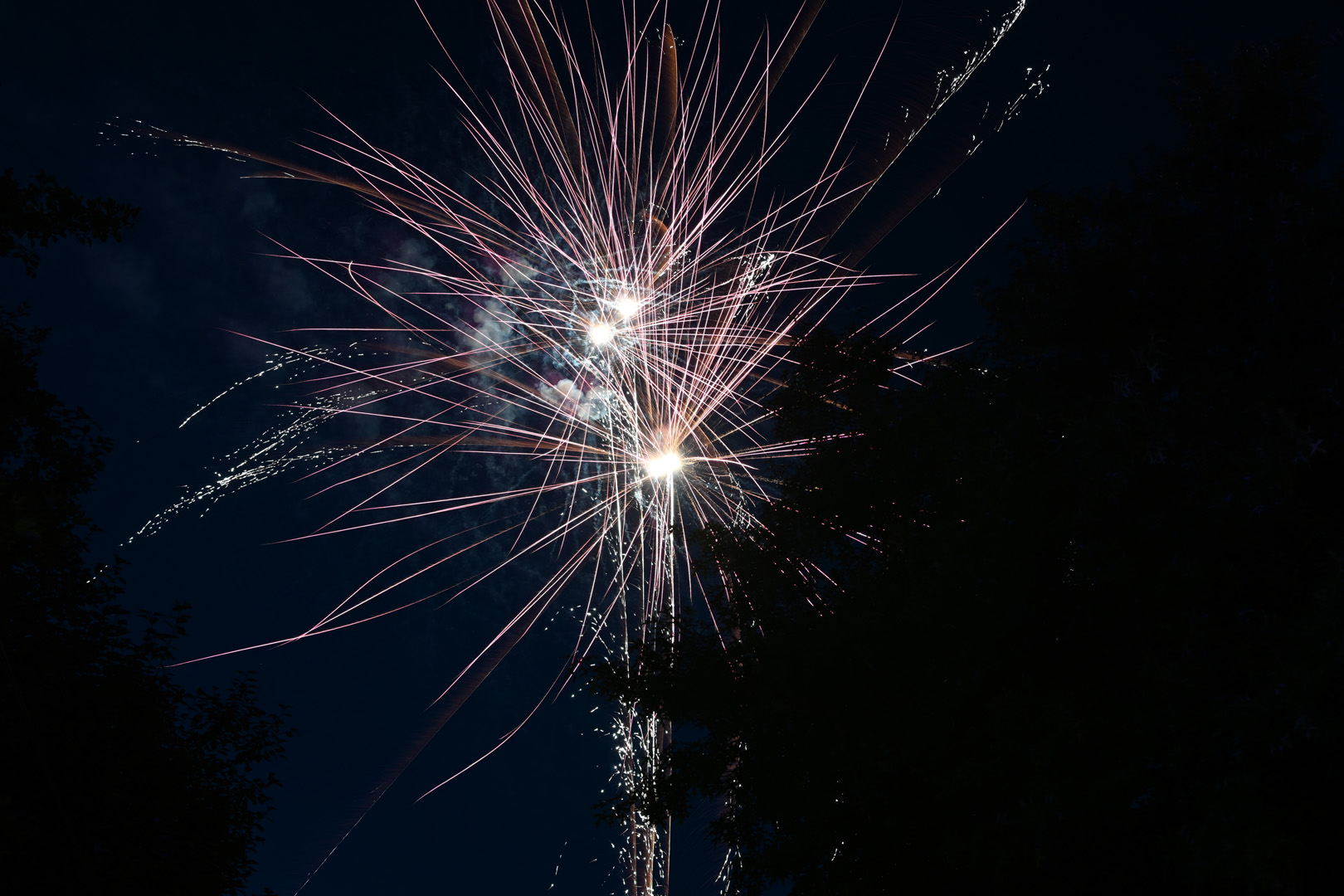 DSC_0948.jpg