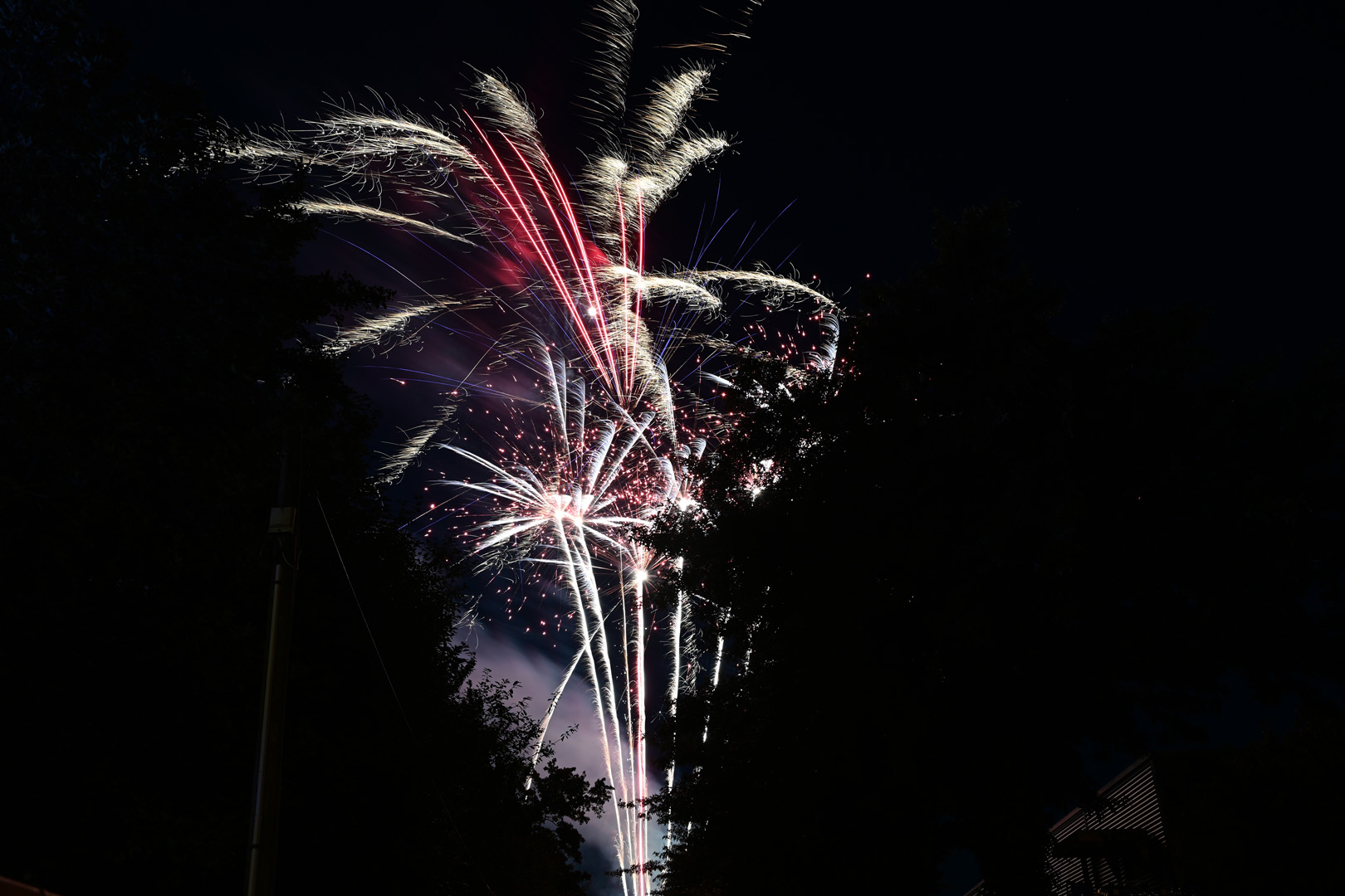 DSC_0965.jpg