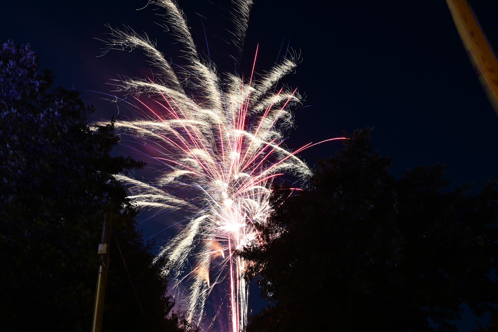 DSC_0967.jpg