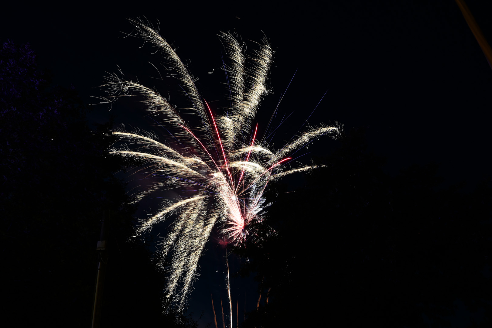 DSC_0969.jpg