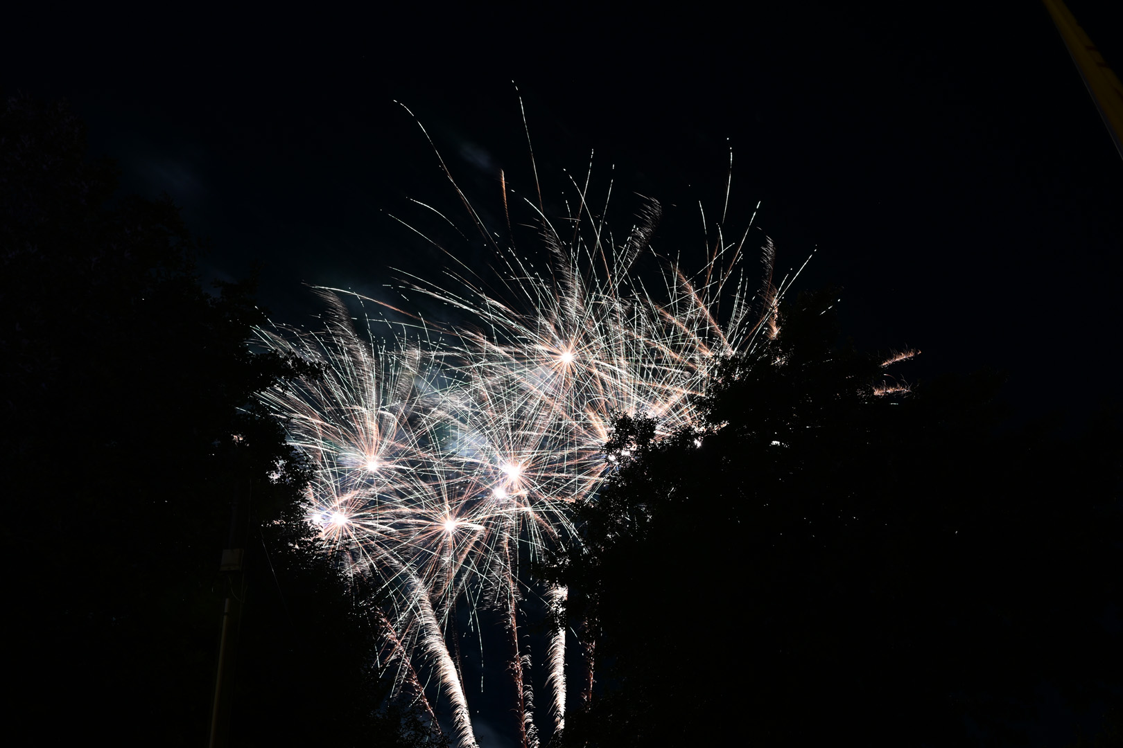 DSC_0976.jpg