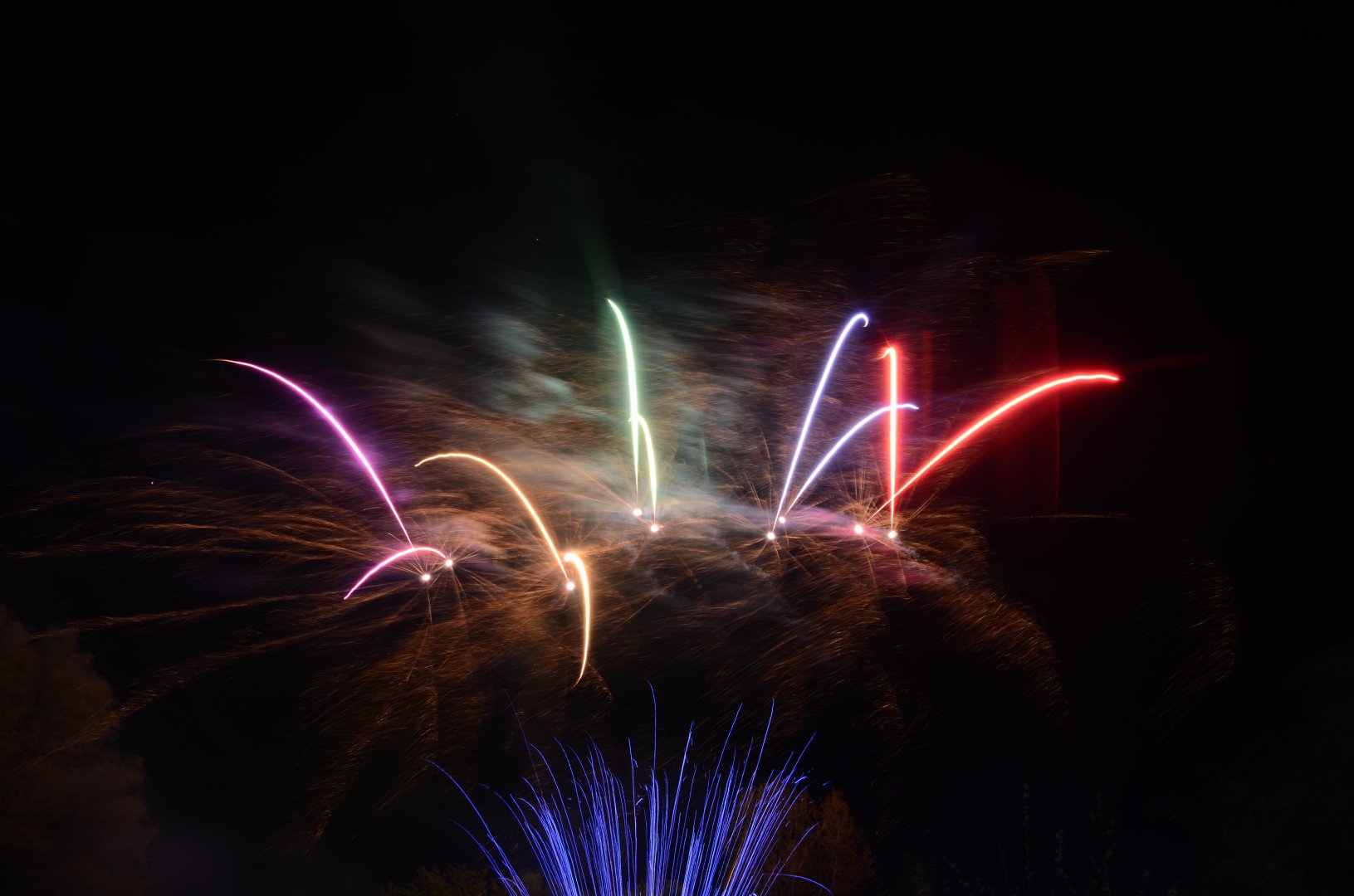DSC_1613.JPG
