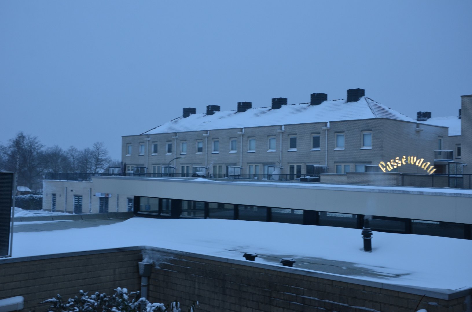 DSC_1836.JPG