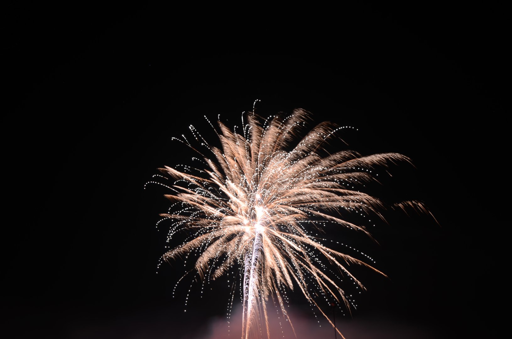 DSC_5116.JPG