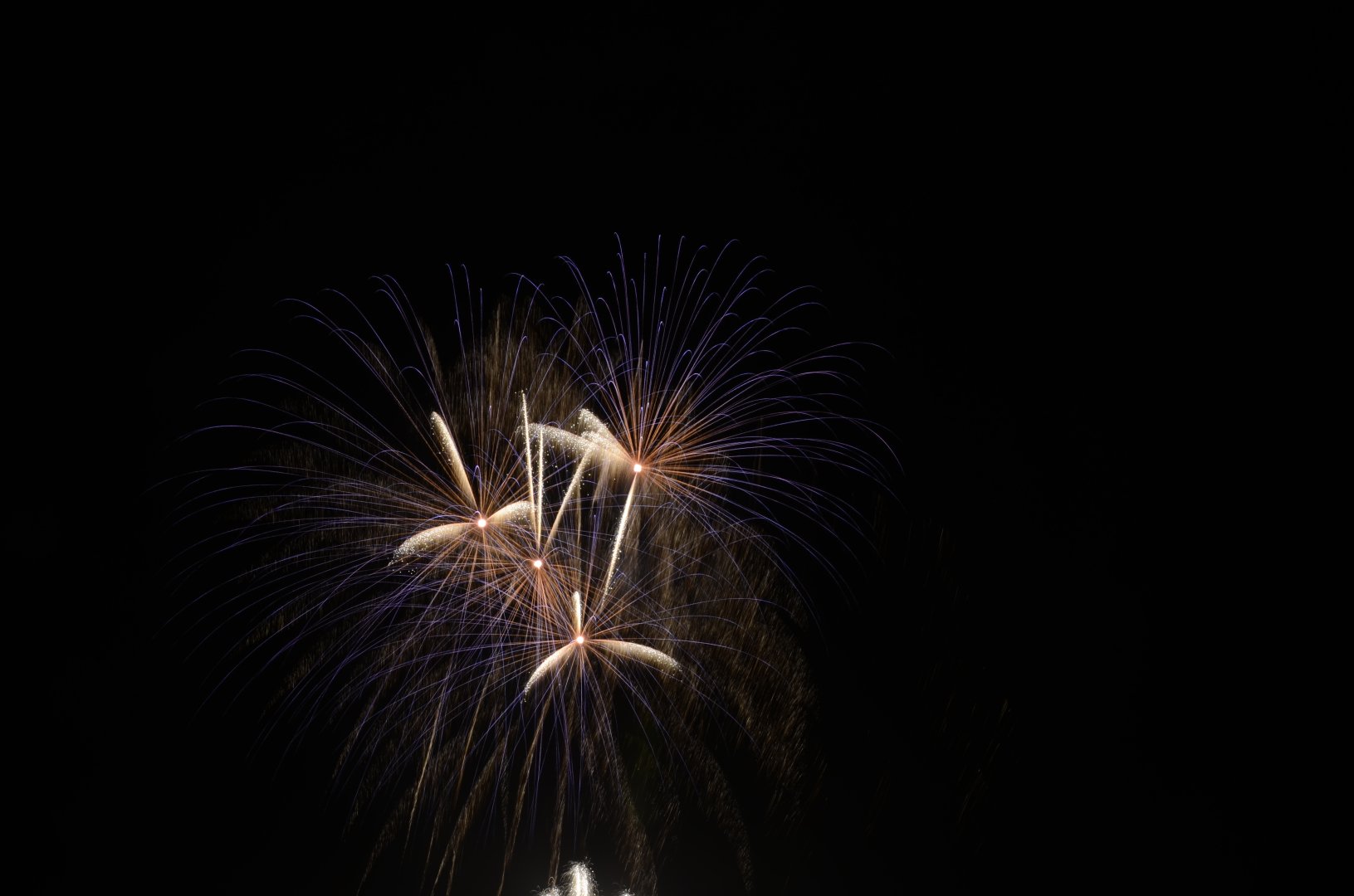 DSC_7917.JPG