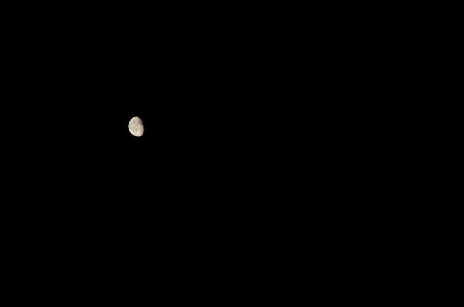 DSC_9992.JPG